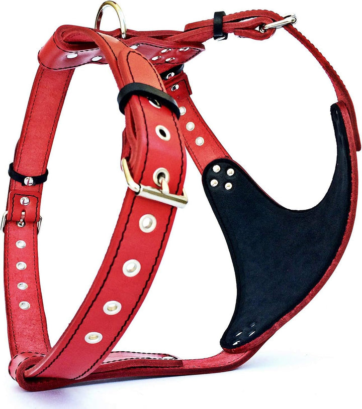 Bestia "Star'' Brustgeschirr Handgemachte Beste Qualität M - von 50 cm bis 75 cm Braun, M - von 50 c
