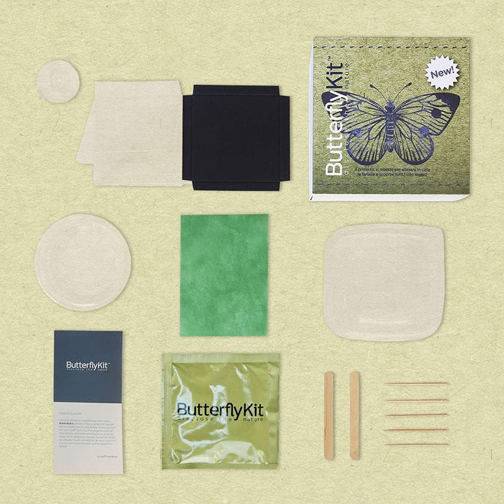 ButterflyKit, das Kit für die Zucht von Schmetterlingen der Gattung &