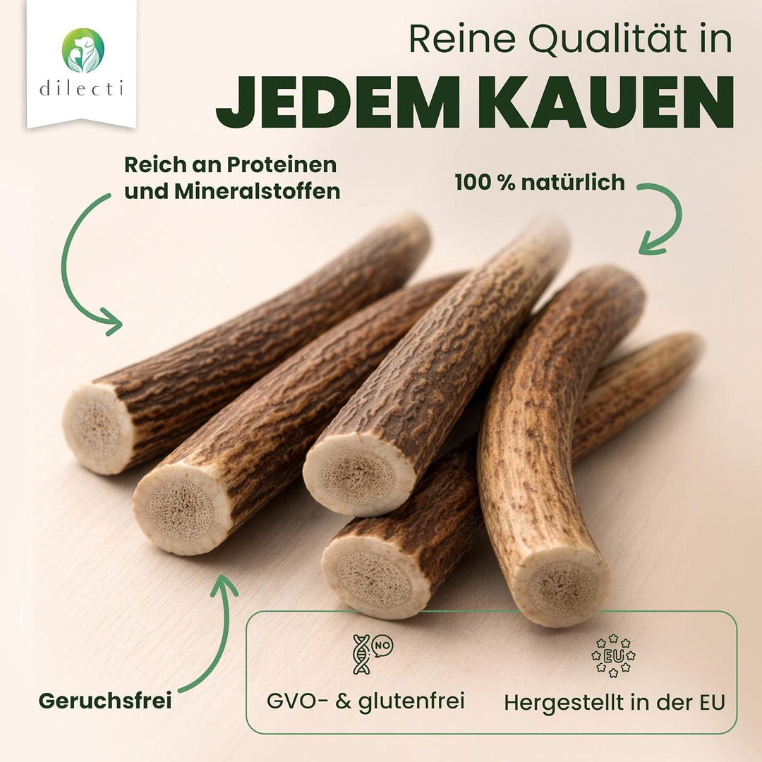Hirschgeweih für Hunde - Die Robuste Geweihstange als Kauspielzeug. EIN Widerstandsfähiger Kauknoche