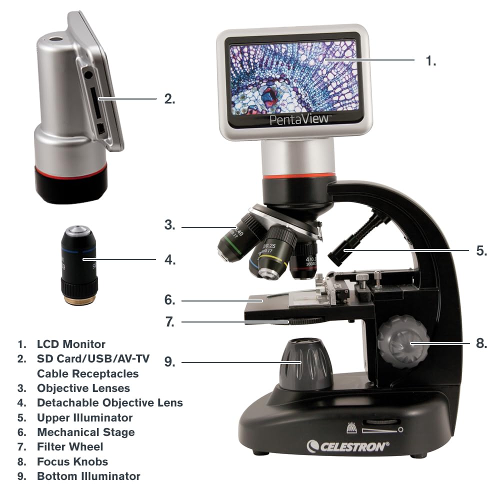 Celestron 44348 PentaView LCD Digitalmikroskop, 40- bis 60-fache Vergrösserung, Schwarz/Silber Penta