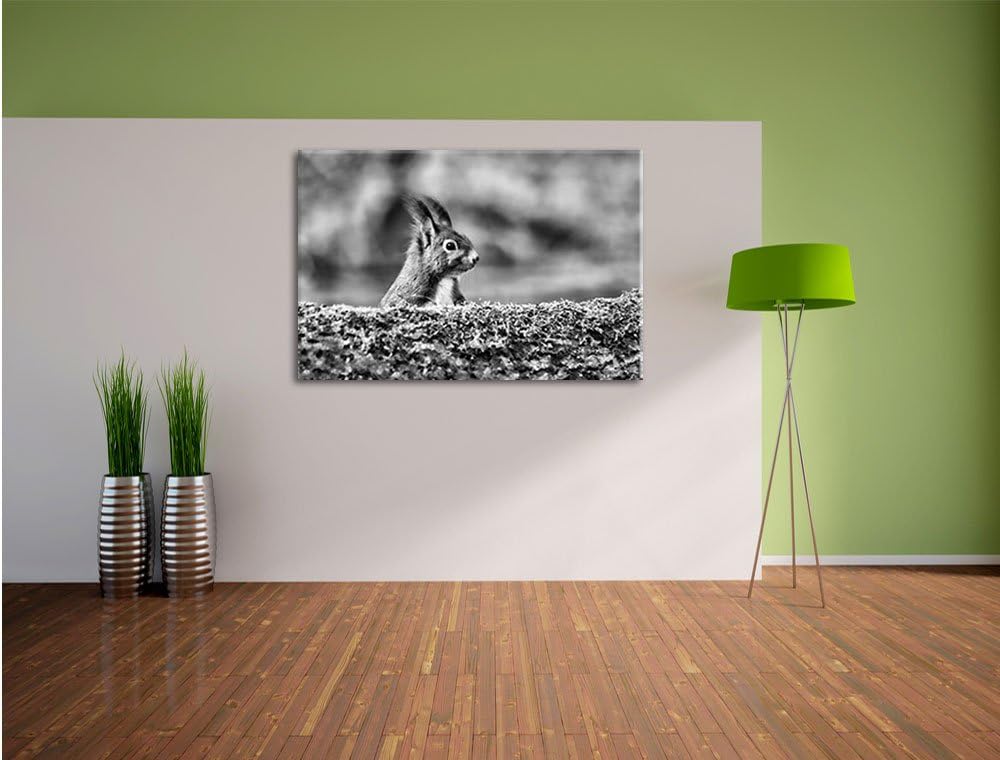 Pixxprint Eichhörnchen hinter Baumstamm als Leinwandbild/Grösse: 100x70 / Wandbild/Kunstdruck/fertig