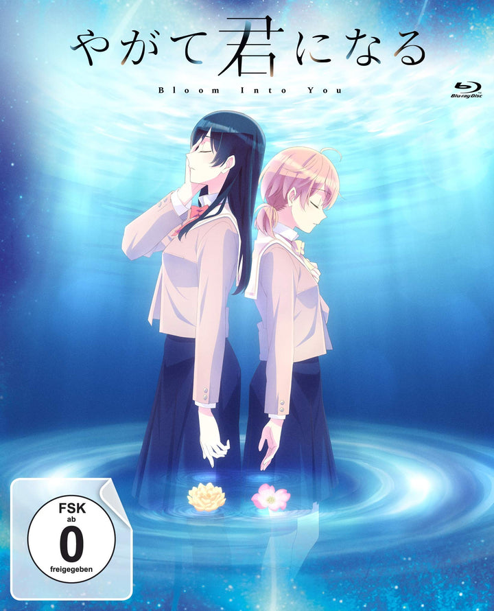 Bloom Into You - Volume 3 (Episode 9-13) im Sammelschuber [Blu-ray], Blu-ray