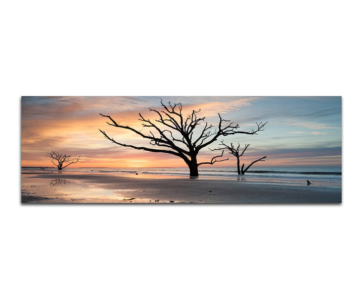 Paul Sinus Art Panoramabild auf Leinwand und Keilrahmen 150x50cm Strand Wasser Bäume Wolkenschleier