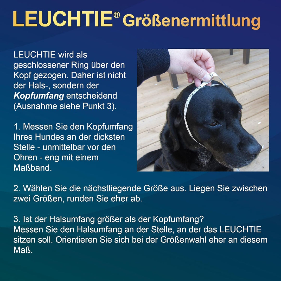 LEUCHTIE® Leuchthalsband Plus türkis Grösse 55 I LED Halsband für Hunde I 100 h Leuchtdauer I wasser