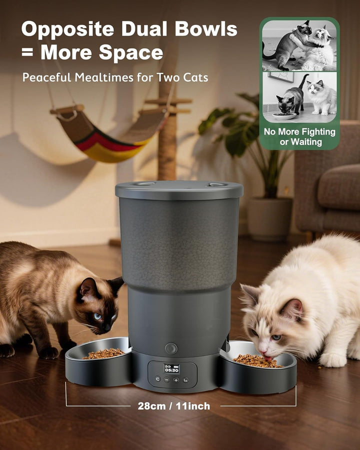 Gimars 5L Futterautomat Katze 2 Näpfe mit LCD-Anzeige Einfache Einrichtung, Programmierbar für 1–6 M