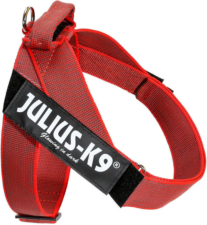 Julius-K9, Color &amp; Gray, Beltgeschirr L / 1 rot-grau, L / 1 rot-grau