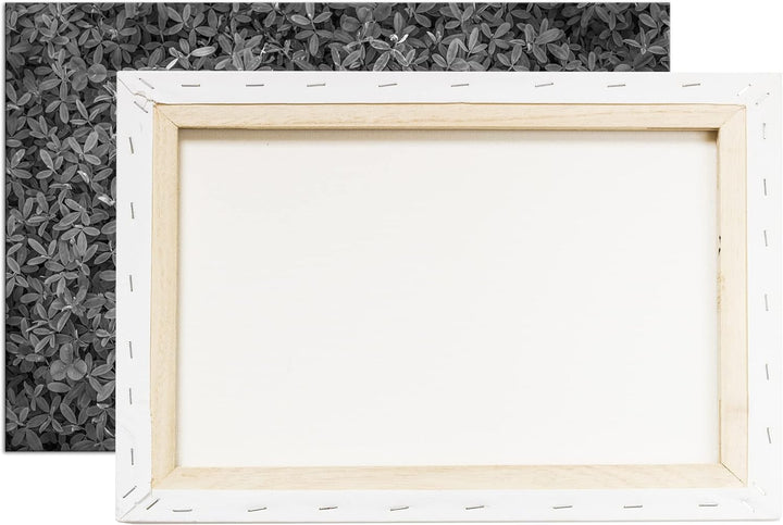 deyoli saftig grüne Kleewiese Effekt: Schwarz&amp;Weiss Format: 80x60 als Leinwandbild, Motiv fertig ger