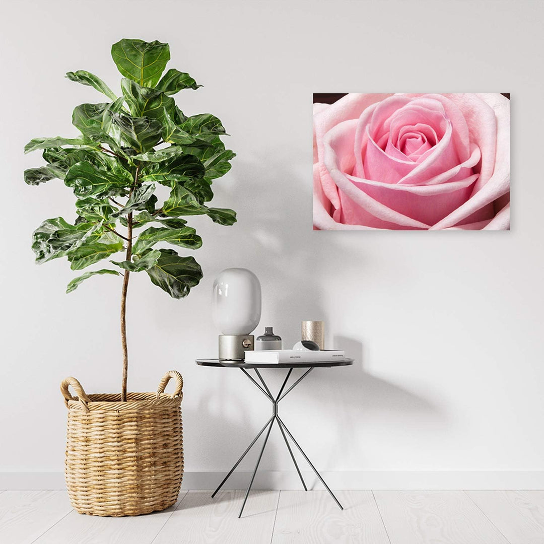 Feeby Bild auf Leinwand Blume Kunstdruck modern Rose Rosa 80x60 cm M14557 80x60 cm, M14557 80x60 cm