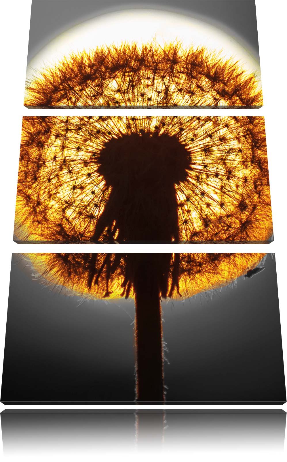 Pixxprint Pusteblume vor untergehender Sonne schwarz/weiss 3-Teiler Leinwandbild 120x80 Bild auf Lei