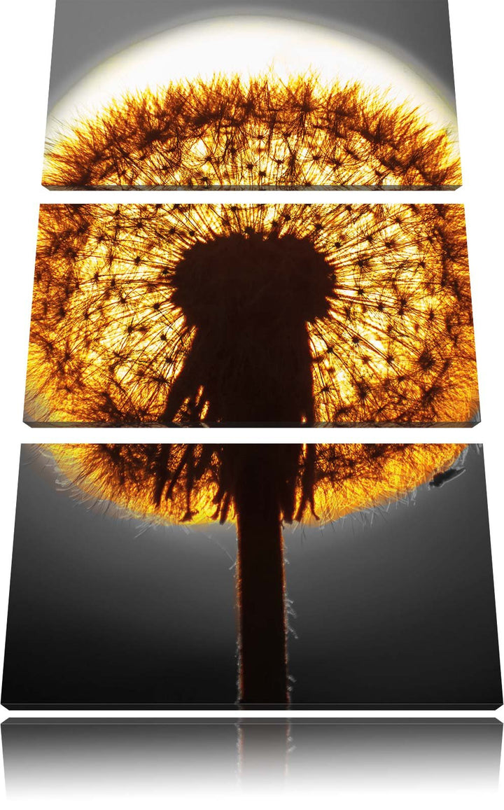 Pixxprint Pusteblume vor untergehender Sonne schwarz/weiss 3-Teiler Leinwandbild 120x80 Bild auf Lei