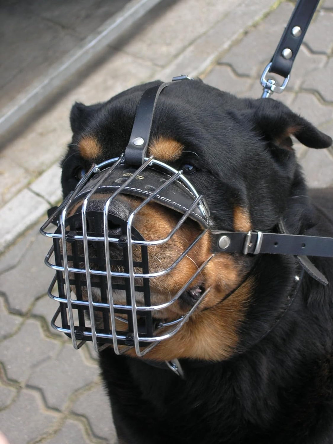 Dingo Mettal Maulkorb Nr.8 Drahtmaulkorb,befindet Sich kein Kunststoffgitter. Für Hundetraining Hand