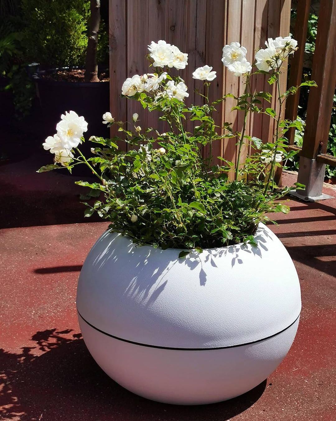 Riviera Topf, Weiss