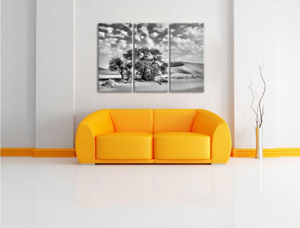 Pixxprint Monocrome, kleine Bäume in Wüstenlandschaft 3-Teiler Leinwandbild 120x80 Bild auf Leinwand