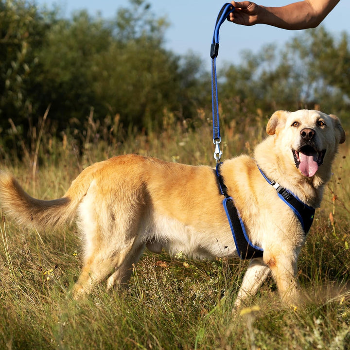 Ferplast Hundegeschirr grosse Hunde Geschirr Hunde mit Polsterung ERGOCOMFORT L, Halsumfang: 50-60 c