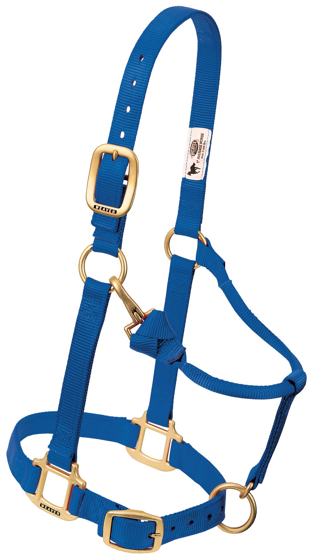 Weaver Leather Original verstellbares Nylonhalfter für Pferde Average Mini blau, Average Mini blau