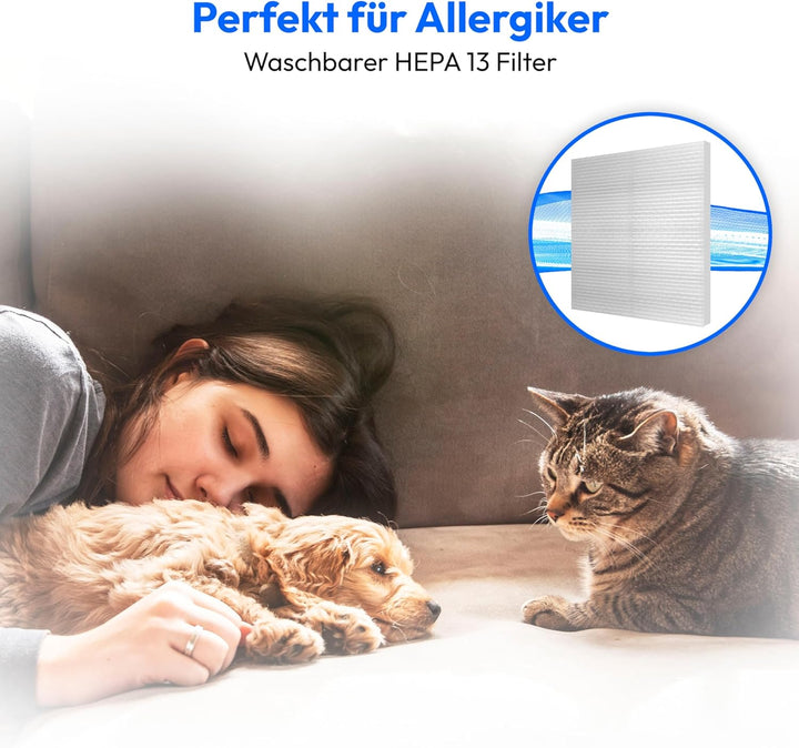 MEDION E2001 Zyklon-Staubsauger (beutellos, 800 Watt Leistung, 2 Liter Staubbehälterkapazität, 7 m A