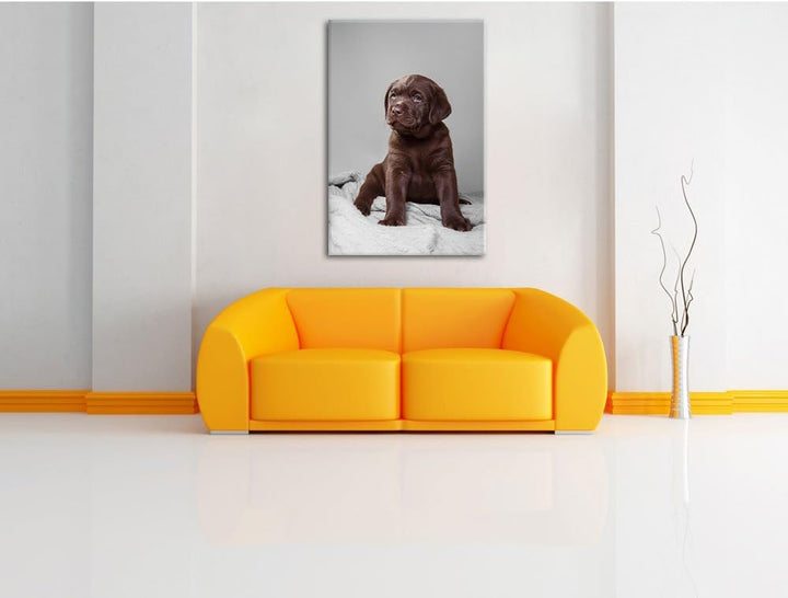 Pixxprint Hundewelpe auf Pullovern als Leinwandbild/Grösse: 100x70 / Wandbild/Kunstdruck/fertig besp