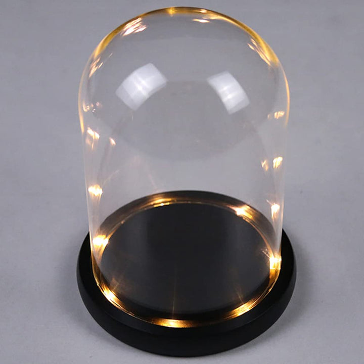 DuvinDD Glaskuppel-Glocke mit LED-Lichtsockel, Arbeitsplatte, Glocke, Vitrine, Kuppelglas, Dekoratio