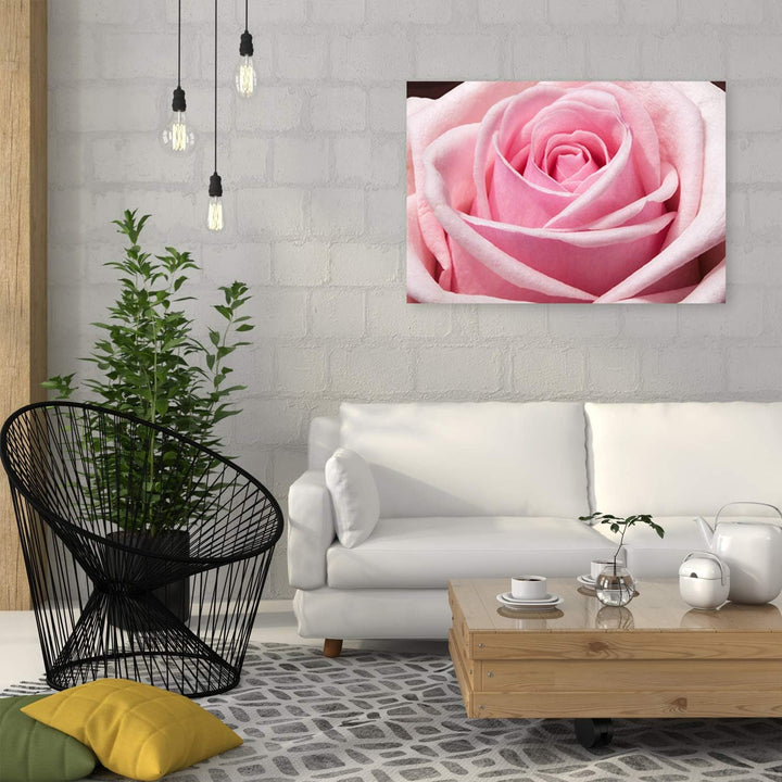 Feeby Bild auf Leinwand Blume Kunstdruck modern Rose Rosa 80x60 cm M14557 80x60 cm, M14557 80x60 cm