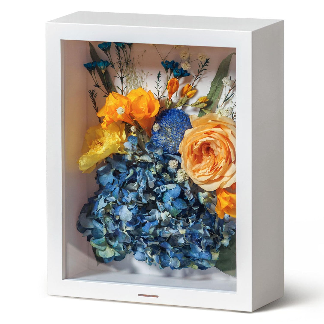 Wisedry 3D Schattenbox 25,4 x 20,3 cm Bilderrahmen Deep Box Display Fotorahmen für getrocknete Blume