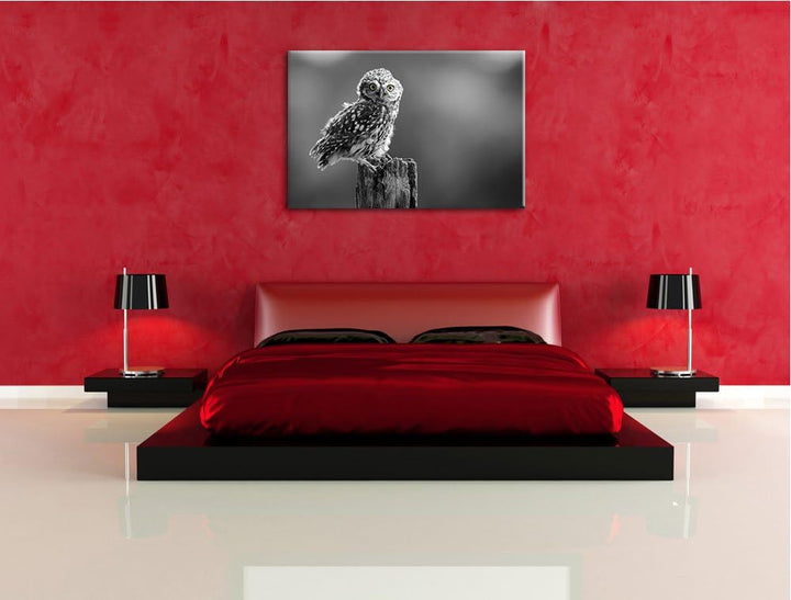 lustige Eule auf Baumstumpf schwarz/weiss Format: 100x70 auf Leinwand, XXL riesige Bilder fertig ger