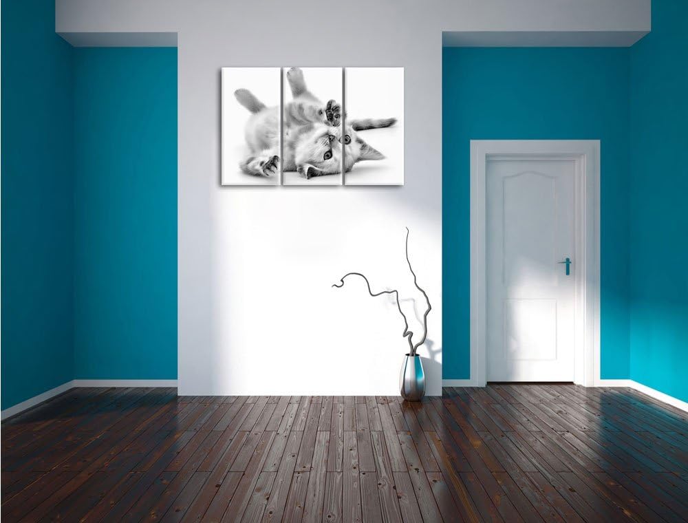 Pixxprint Kleine Katze als Leinwandbild/Grösse: 3 Teilig (120x80) cm/Wandbild/Kunstdruck/fertig besp