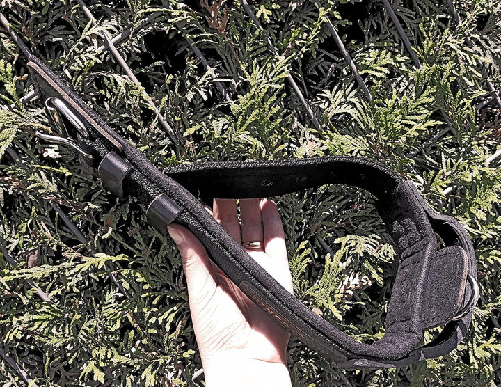 Dingo Gear Halsband für Hund ''Drago'' aus Band Amortisiert Schwarz mit Griff Handgefertigt S04023 4