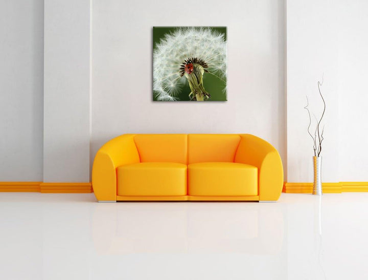 Marienkäfer auf Pusteblume, Format: 70x70 auf Leinwand, XXL riesige Bilder fertig gerahmt mit Keilra