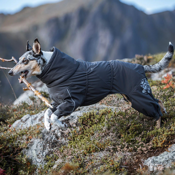 Extreme Overall Winterjacke für Hund (BlackBerry, 40M)