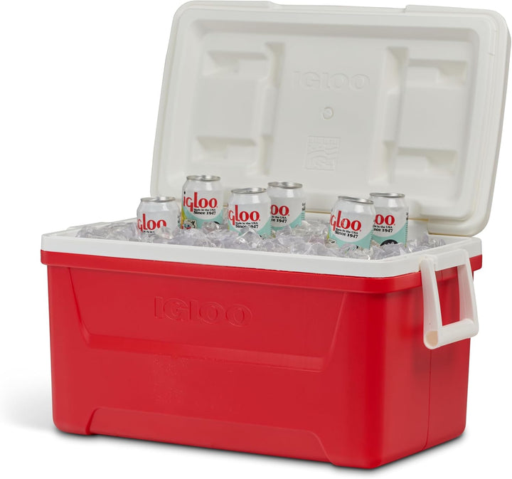 Igloo Passive Mini-Kühlbox Laguna 45 Liter, 45 Liter