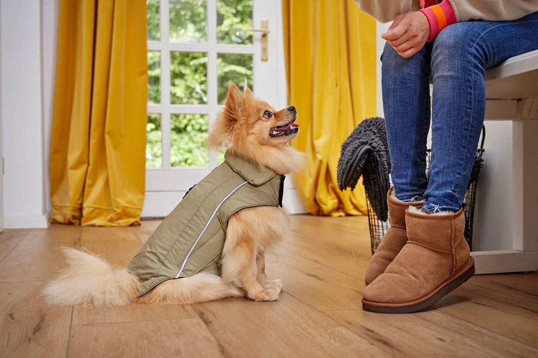 Wolters Skijacke Dogz Wear, Grösse:60 cm, Farbe:khakigrün 60 cm khakigrün, 60 cm khakigrün