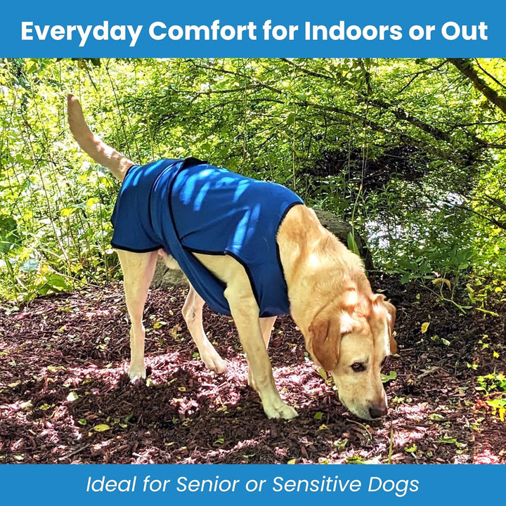 DOGZSTUFF Kühlweste für Hunde, leichte Jacke mit verdunstender Kühl-Mikrofaser-Technologie, UV-Schut