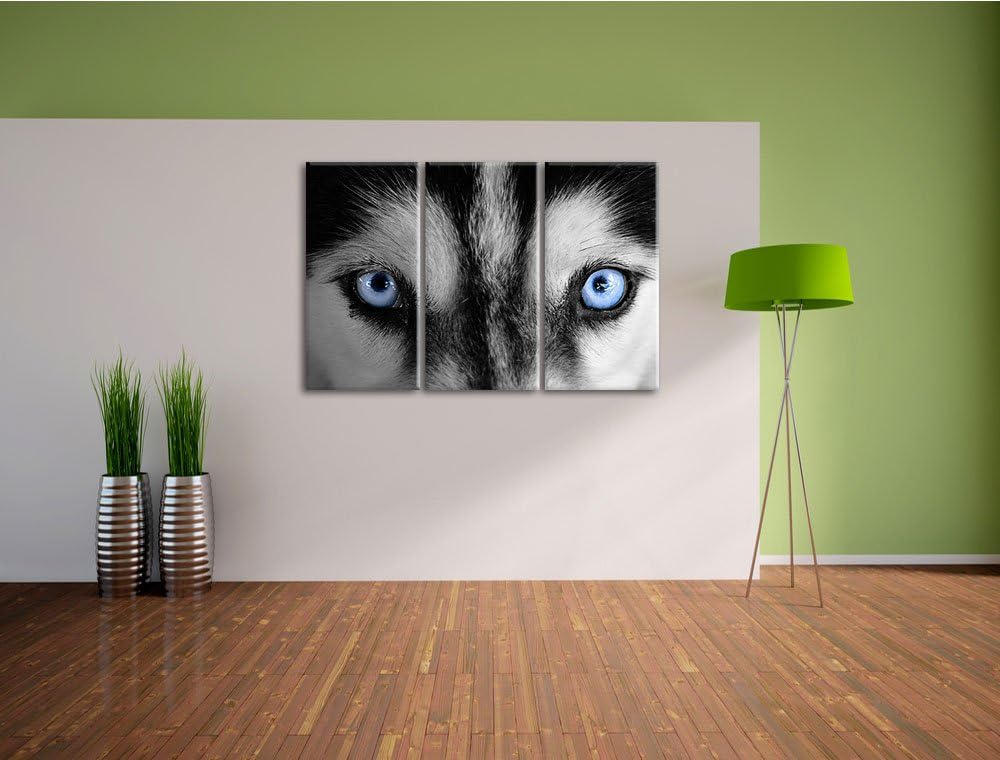 Pixxprint Eisblaue Huskyaugen als Leinwandbild/Grösse: 3 Teilig (120x80 cm) cm/Wandbild/Kunstdruck/f