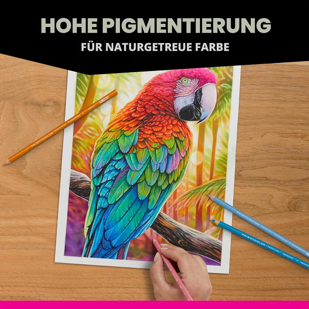 Prismacolor Garten-Set, 12 Stück,