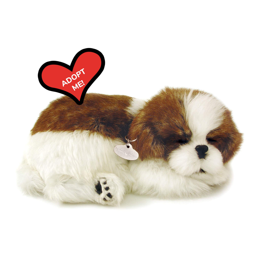 Perfect Petzzz 4924 – Plüsch – Hund Shih Tzu