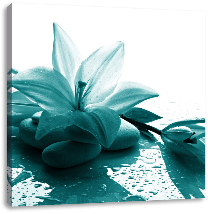 Pixxprint Düstere Lilie mit Zen Steinen, Format: 70x70 auf Leinwand, 70x70