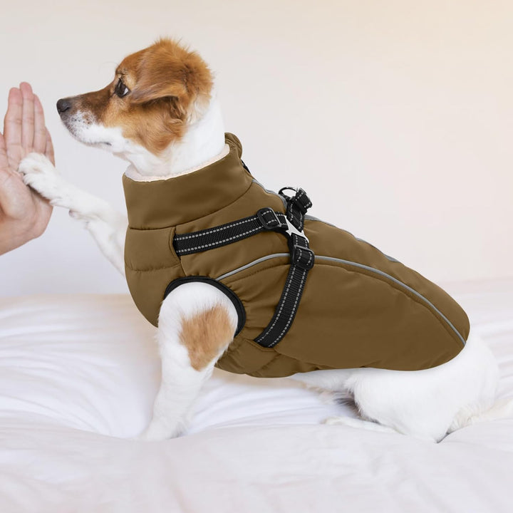 Hundemantel Hundejacke Warm Wintermantel mit Reissverschluss Winddichte & Winddichte mit Reflektorst