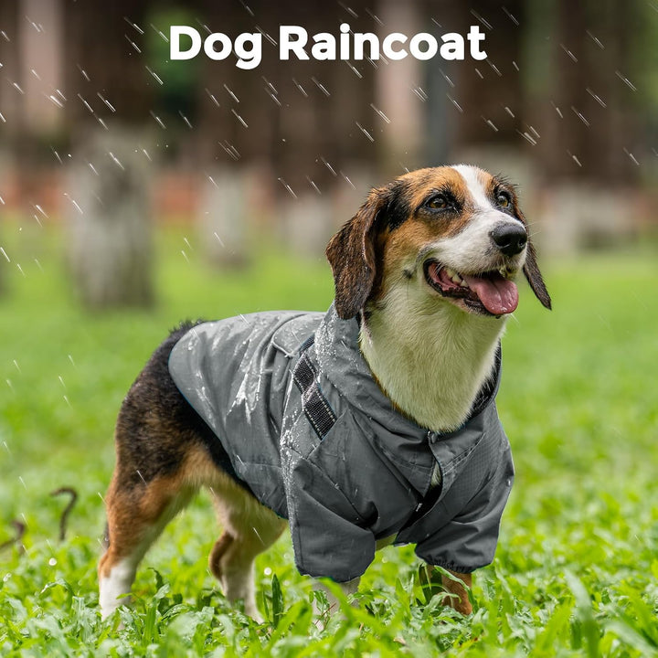 JoyDaog Regenmantel für extra kleine Hunde mit Kapuze, wasserdichte Outdoor-Regenjacke für Hunde, We