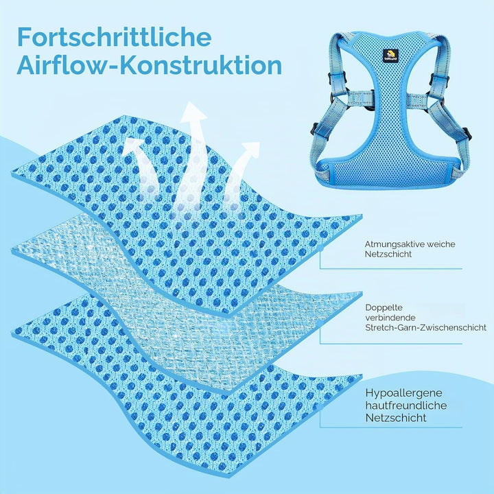 BELLA & PAL Hundegeschirr und Leine Set, Step-in Design mit atmungsaktivem Air-Mesh, reflektierenden