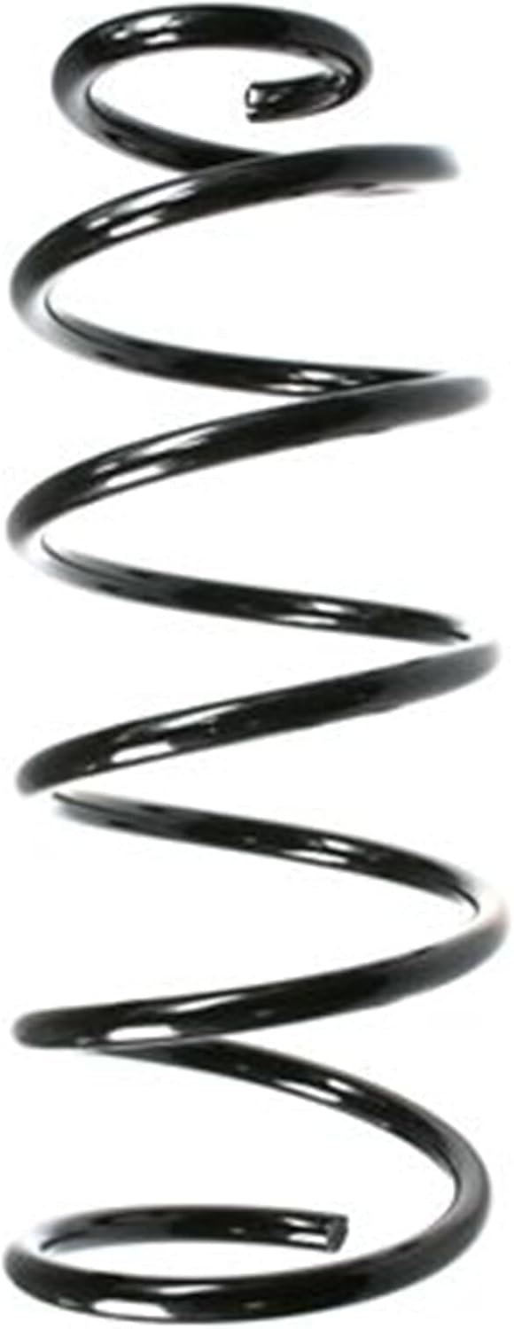 SPIDAN 49550 Fahrwerksfeder