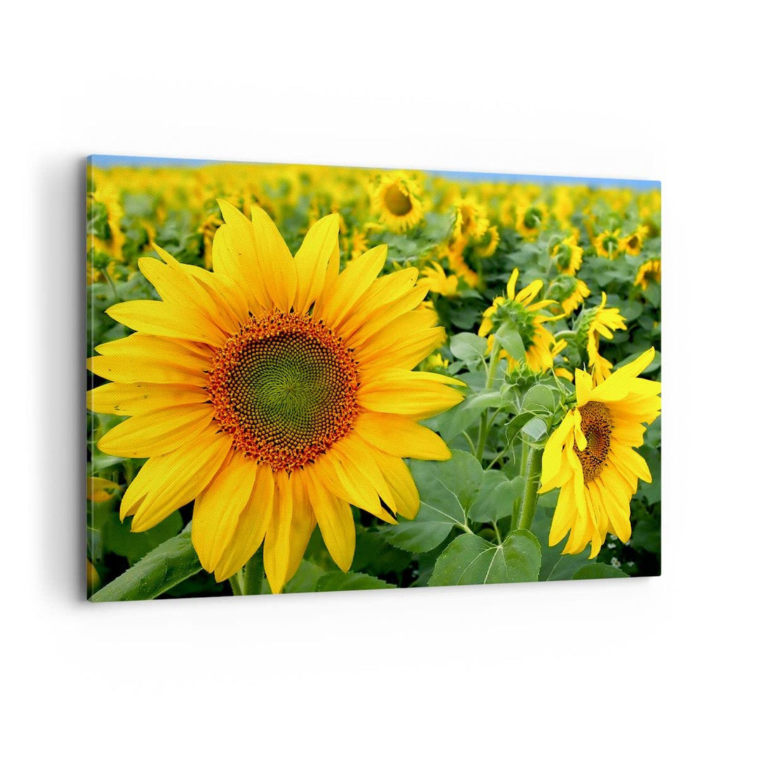 Bilder auf Leinwand 100x70cm Leinwandbild Wolken Sonnenblumen Plantagen Gross Wanddeko Bild Schlafzi