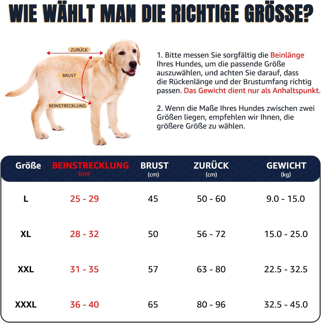 Tragehilfe für mittelgrosse grosse Hunde, atmungsaktive Tragetasche Hund mit Gurten & Haltegriff für
