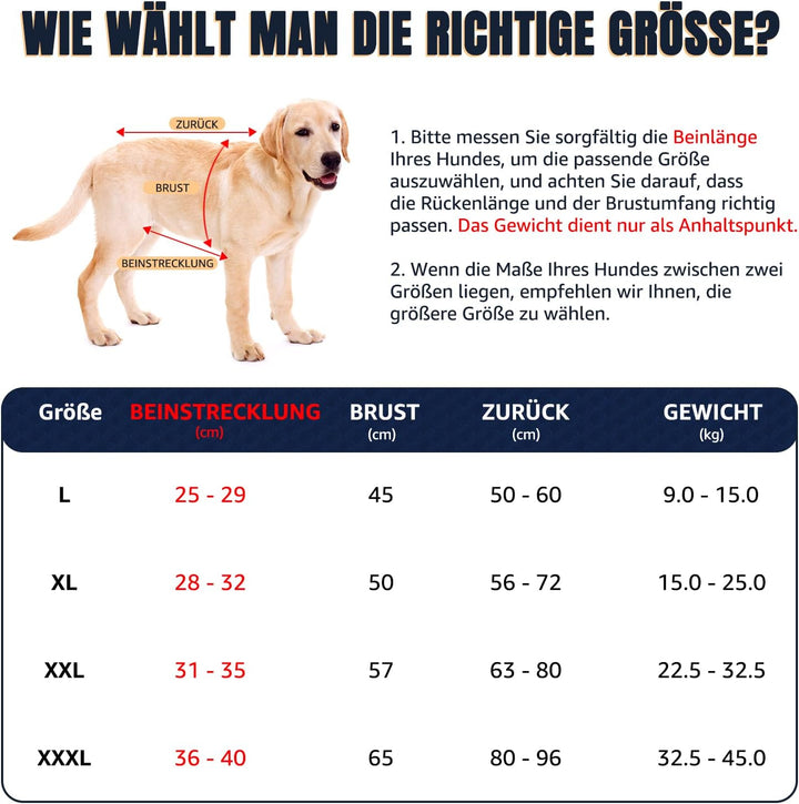 Tragehilfe für mittelgrosse grosse Hunde, atmungsaktive Tragetasche Hund mit Gurten & Haltegriff für