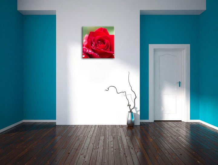 Pixxprint Rose mit Wassertropfen als Leinwandbild/Grösse: 70x70 cm/Wandbild/Kunstdruck/fertig bespan