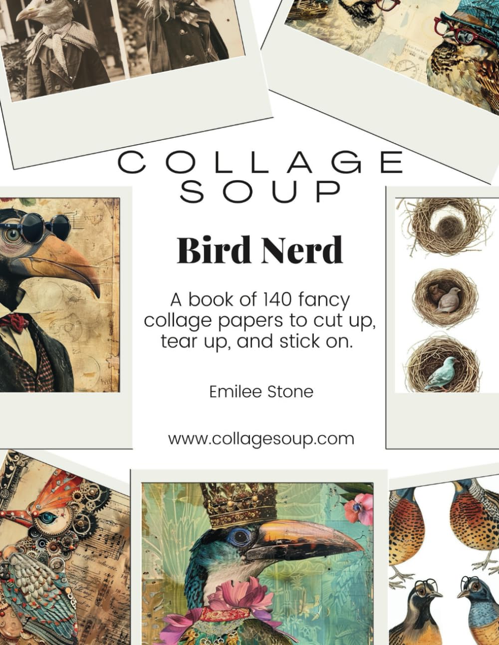 Collage Soup - Bird Nerd: A book of 140 fancy collage papers to cut up, tear up, and stick on, Tasch