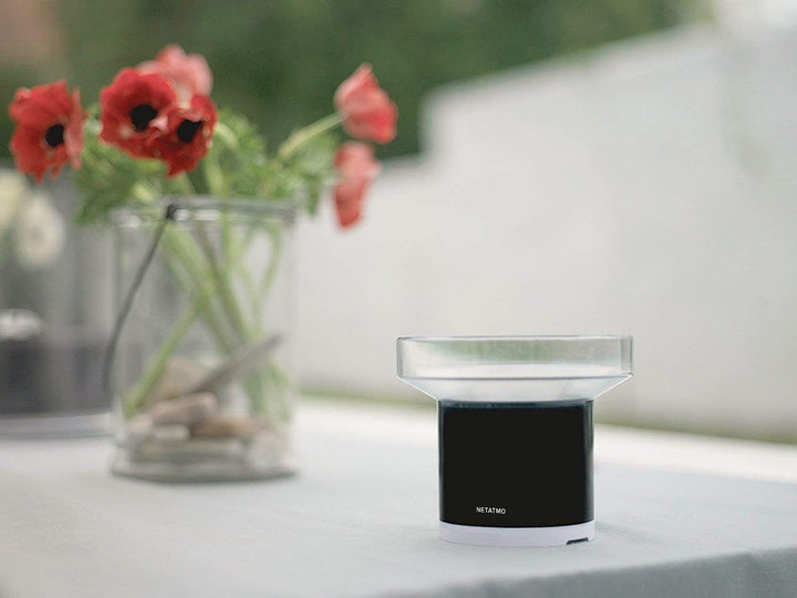 Netatmo Smarte Wetterstation mit Wandhalterung - WLAN, Funk, Innen- und Aussensensor & Regenmesser F