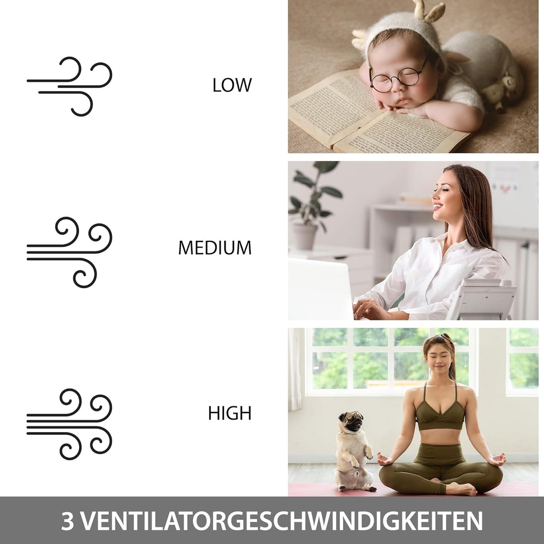 Syntrox Germany 4 in 1 Luftkühler Luftbefeuchter Lufterfrischer und Ventilator AC-95W-B 8L Blowy Rem