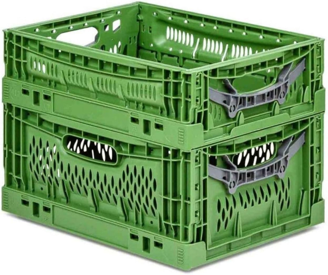 PROREGAL Stabile Profi-Klappbox Chameleon in Industriequalität | HxBxT 18x40x60cm | 35 Liter | klapp