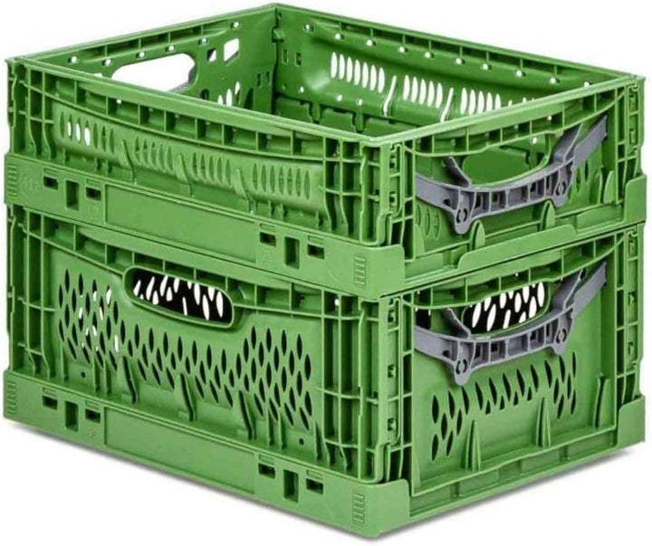 PROREGAL Stabile Profi-Klappbox Chameleon in Industriequalität | HxBxT 18x40x60cm | 35 Liter | klapp