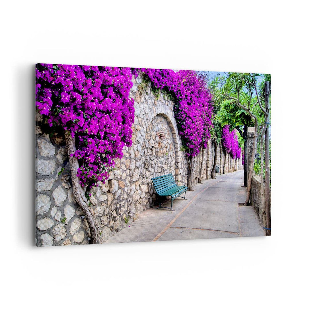 Bilder auf Leinwand 100x70cm Leinwandbild Pflanzen Bank Strasse Sommer Gross Wanddeko Bild Schlafzim